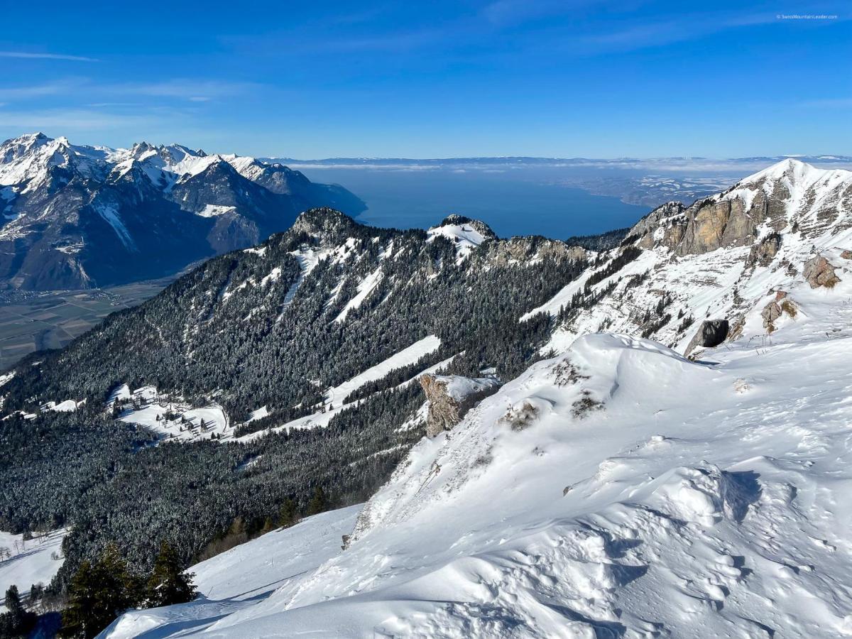 Bed & Breakfast L'Epicea Leysin Exterior photo