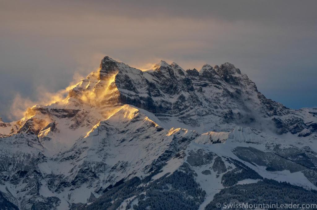 Bed & Breakfast L'Epicea Leysin Room photo